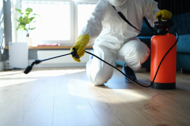 Reliable Odor Removal contractor in Garrison, UT by Trauma Clean Pros